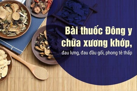 Bài thuốc Đông y chữa xương khớp, đau lưng, đau đầu gối phong tê thấp