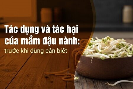 Tác dụng và tác hại của mầm đậu nành: trước khi dùng cần biết