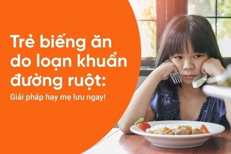 Trẻ biếng ăn do loạn khuẩn đường ruột: Giải pháp hay mẹ lưu ngay!