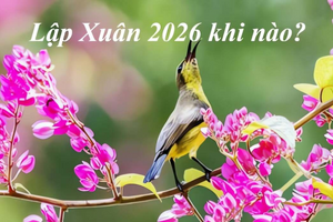Lập Xuân 2026 – ngày khởi đầu của năm mới: Chuyên gia khuyên bí quyết đón năm mới tài lộc, hanh thông