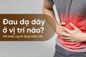 Đau dạ dày ở vị trí nào? Rất nhiều người đang nhầm lẫn