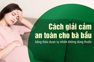 Cách giải cảm an toàn cho bà bầu bằng thảo dược tự nhiên