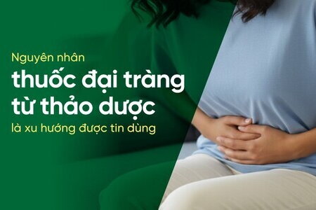 Nguyên nhân thuốc đại tràng từ thảo dược là xu hướng được tin dùng