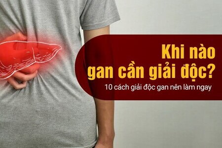 Khi nào gan cần giải độc? 10 cách giải độc gan nên làm ngay