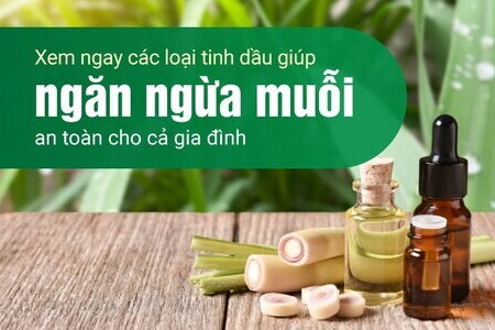Xem ngay các loại tinh dầu giúp ngăn ngừa muỗi an toàn cho gia đình