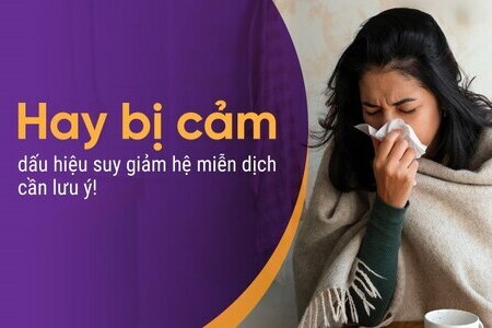 Hay bị cảm - dấu hiệu suy giảm hệ miễn dịch cần lưu ý!