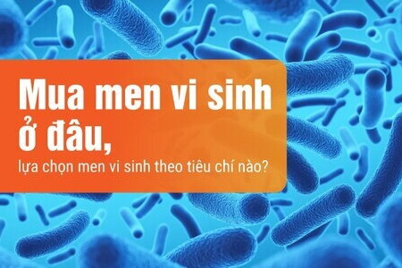 Mua men vi sinh ở đâu, lựa chọn men vi sinh theo tiêu chí nào?