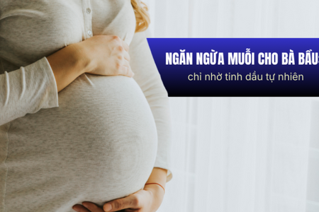 Ngăn ngừa muỗi cho bà bầu: chỉ nhờ tinh dầu tự nhiên