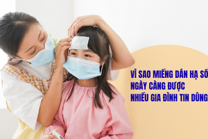 Vì sao miếng dán hạ sốt ngày càng được nhiều gia đình tin dùng?