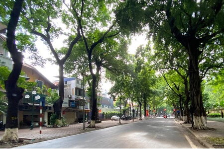 Dự báo thời tiết 10 ngày tới