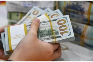 Tỷ giá USD/VND hôm nay 27/2: Giảm mạnh ở cả thị trường chợ đen và ngân hàng