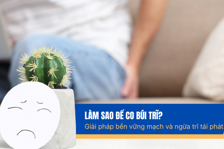 Làm sao để co búi trĩ? Giải pháp bền thành mạch và ngừa trĩ tái phát