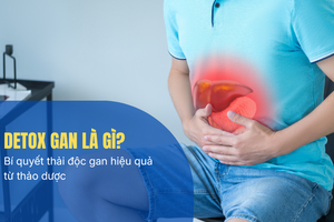 Detox gan là gì? Bí quyết thải độc gan hiệu quả từ thảo dược