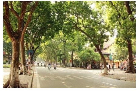 Dự báo thời tiết 10 ngày tới trên cả nước