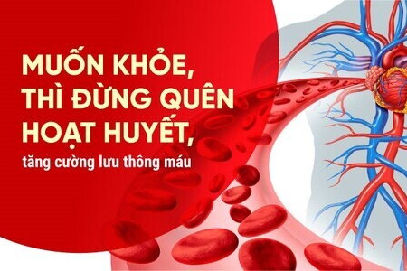 Muốn khỏe, thì đừng quên hoạt huyết, tăng cường lưu thông máu