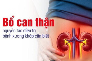 Bổ can thận - nguyên tắc điều trị bệnh xương khớp cần biết