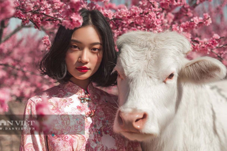 Dự đoán vận may 12 con giáp tuần mới (9- 15/3): Thìn đón cơ hội, Hợi giỏi kiếm tiền, Dần đừng mạo hiểm