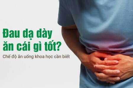 Đau dạ dày ăn cái gì tốt? Chế độ ăn uống khoa học cần biết