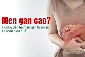 Men gan cao? Hướng dẫn hạ men gan tự nhiên an toàn hiệu quả