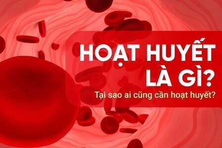 Hoạt huyết là gì? Tại sao ai cũng cần hoạt huyết?