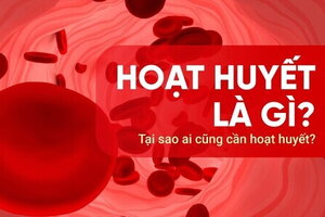 Hoạt huyết là gì? Tại sao ai cũng cần hoạt huyết?