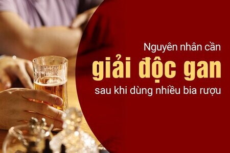 Nguyên nhân cần giải độc gan sau khi dùng nhiều bia rượu