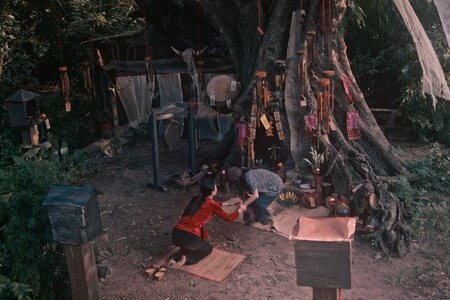 ‘Thỏ Ơi!’ giảm nhiệt, ‘Quỷ nhập tràng 2’ làm nóng phòng vé