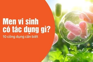 Men vi sinh có tác dụng gì? 10 công dụng cần biết