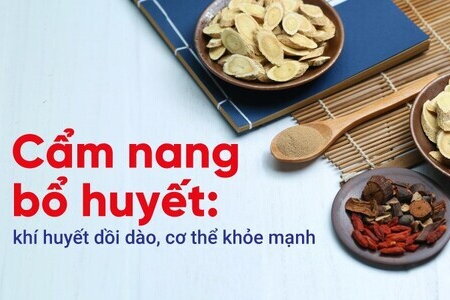 Cẩm nang bổ huyết: khí huyết dồi dào, cơ thể khỏe mạnh