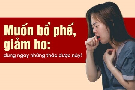 Muốn bổ phế, giảm ho: dùng ngay những thảo dược này!