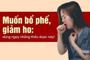 Muốn bổ phế, giảm ho: dùng ngay những thảo dược này!