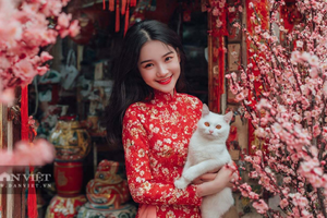 Tử vi ngày mai: 4 con giáp có đầu óc kinh doanh nhạy bén, quý nhân giúp đỡ, năm 2026 không thiếu tiền tiêu