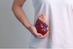 7 thói quen gây hại thận mỗi ngày