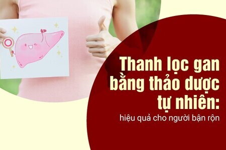 Thanh lọc gan bằng thảo dược tự nhiên: hiệu quả cho người bận rộn