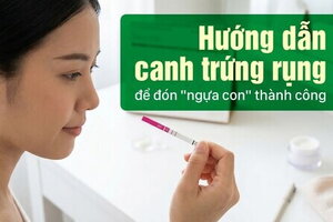 Hướng dẫn canh trứng rụng để đón "ngựa con" thành công