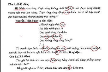 Đề thi Ngữ văn sai lỗi chính tả lan truyền trên mạng xã hội là giả mạo