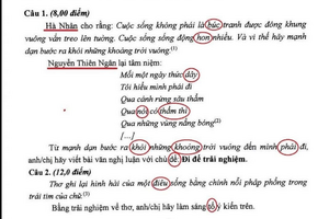 Đề thi Ngữ văn sai lỗi chính tả lan truyền trên mạng xã hội là giả mạo