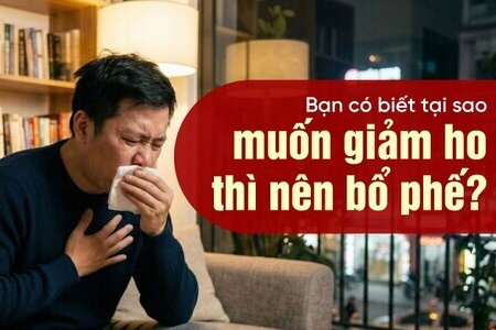 Bạn có biết tại sao muốn giảm ho thì nên bổ phế?
