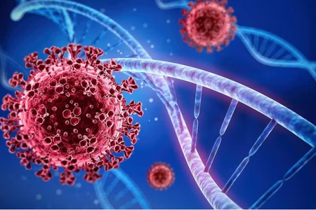 Không chủ quan với biến thể mới của Covid-19