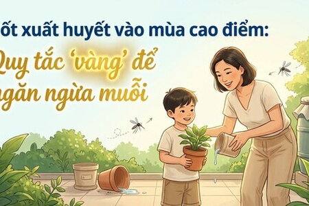Sốt xuất huyết vào mùa cao điểm: Quy tắc "vàng" để ngăn ngừa muỗi