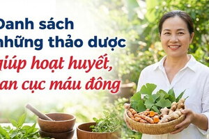Danh sách những thảo dược giúp hoạt huyết, tan cục máu đông
