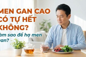 Men gan cao có tự hết không? Làm sao để hạ men gan?