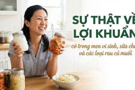 Sự thật về lợi khuẩn có trong men vi sinh, sữa chua các loại rau củ