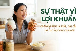Sự thật về lợi khuẩn có trong men vi sinh, sữa chua các loại rau củ