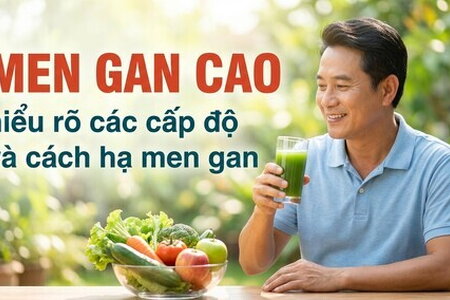  Men gan cao: hiểu rõ các cấp độ và cách hạ men gan
