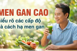  Men gan cao: hiểu rõ các cấp độ và cách hạ men gan