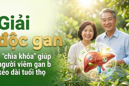 Giải độc gan - "chìa khóa" giúp người viêm gan B kéo dài tuổi thọ