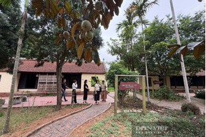 Nghỉ lễ 30/4 tại Thủ đô: Từ tour tàu hỏa "Năm Cửa Ô" đến chợ phiên vùng cao giữa lòng Hà Nội