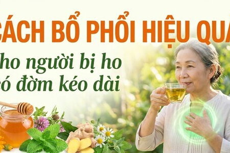 Cách bổ phổi hiệu quả cho người bị ho có đờm kéo dài