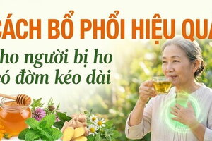 Cách bổ phổi hiệu quả cho người bị ho có đờm kéo dài